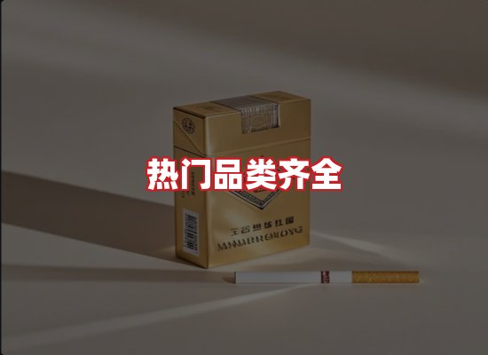 专业团队